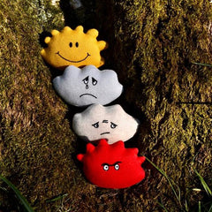 Bag Of Buddies - Learning Resource