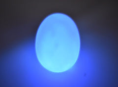 Colour Changing Egg - Sensory Toys