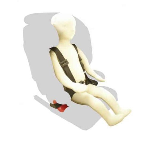 Harness with Steel Buckles - Care & Safety