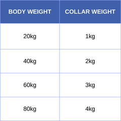 Long Minky Weighted Collar - Made to order - Weighted