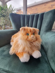 Ravencourt Living Marmalade the Cat - on a chair