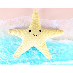 Weighted Starfish 1.6kg - Weighted