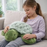 Weighted Turtle 1.6kg - Weighted