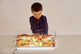 A3 Light Panel & Tray Combi - Learning Resource