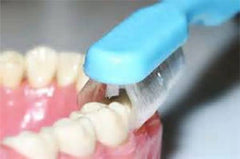 Collis Curve Toothbrush - Oral Care