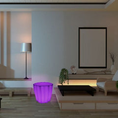 Colour Changing Tree Trunk - Sensory