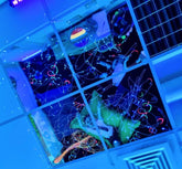 Shimmer n Shine Star Ceiling Panels - Sensory Equipment