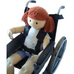 Model 14 Wheelchair Belt/Harness