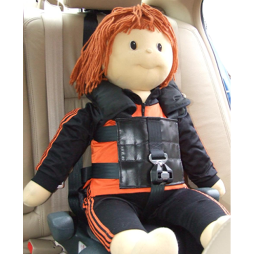 Model 22 Harness with Optional Fixing Strap