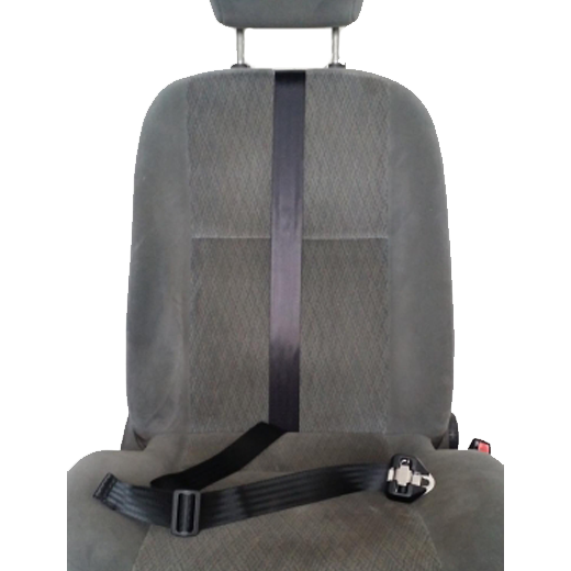 Model 22 Harness with Optional Fixing Strap