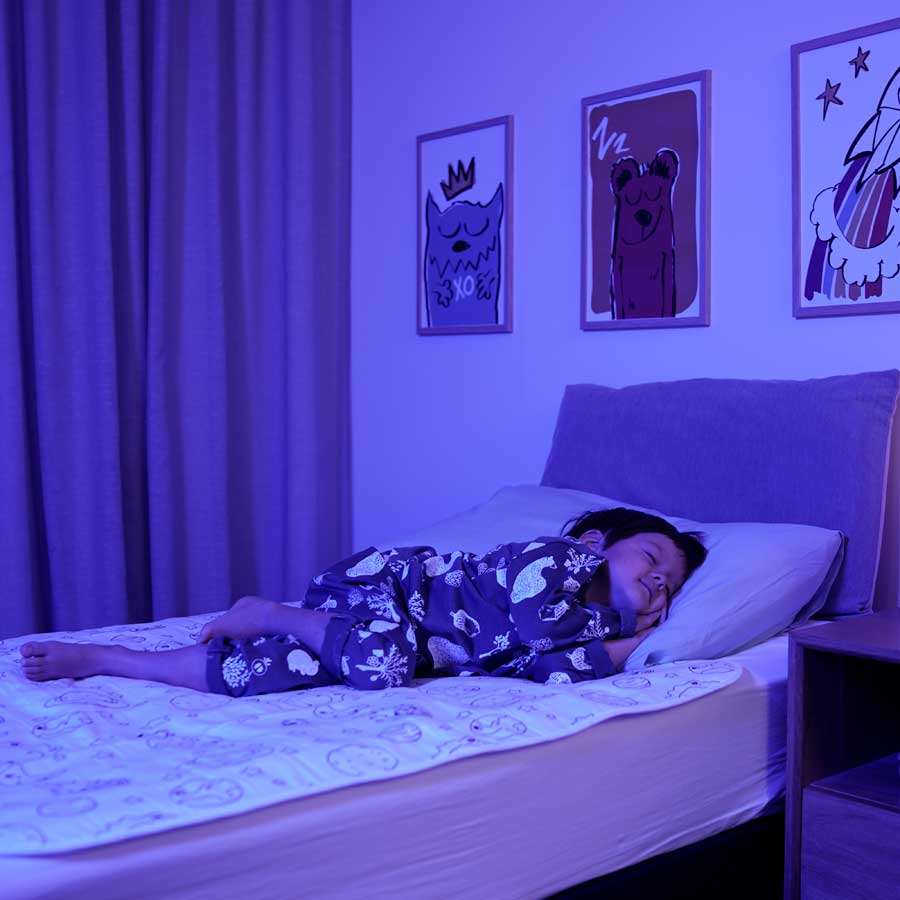 Brolly Sheets Bed Pads WITHOUT Wings - Bedtime, Toilet Training and Incontinence