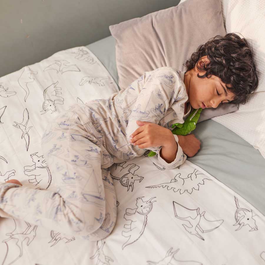 Brolly Sheets Single Bed Protectors - Bedtime, Toilet Training and Incontinence