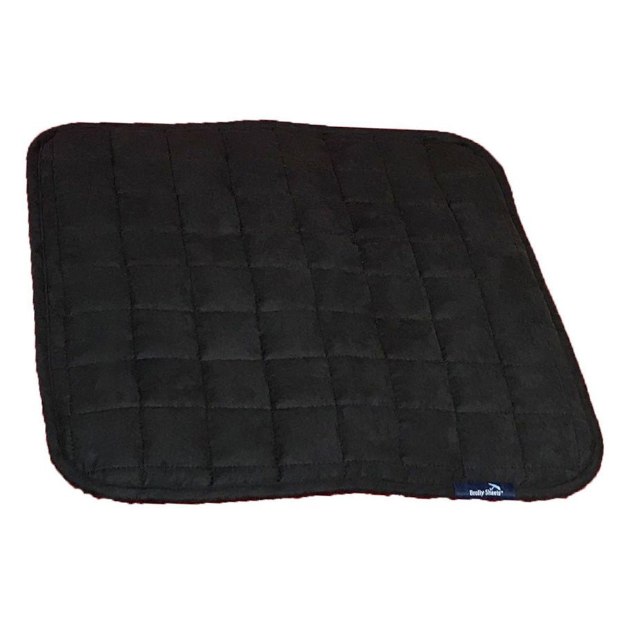 Chair Pads by Brolly - Bedtime, Toilet Training and Incontinence