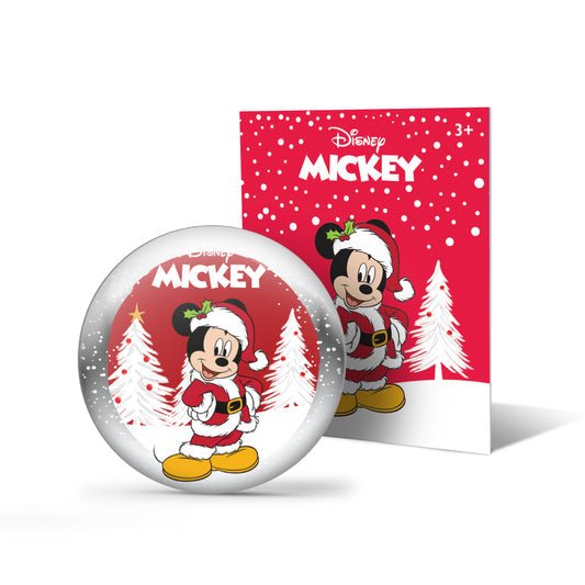 DIsney StoryShields - for StoryPhones - Sensory Toys
