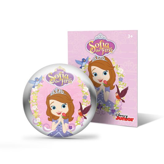 DIsney StoryShields - for StoryPhones - Sensory Toys