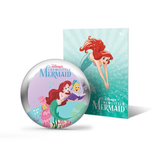 DIsney StoryShields - for StoryPhones - Sensory Toys