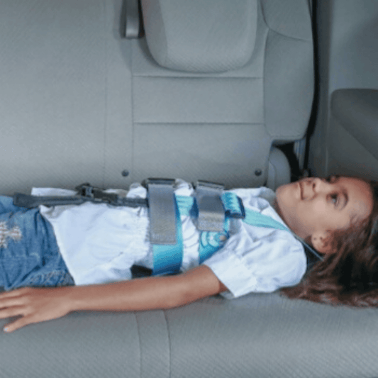 EZ - On Harness - Care & Safety