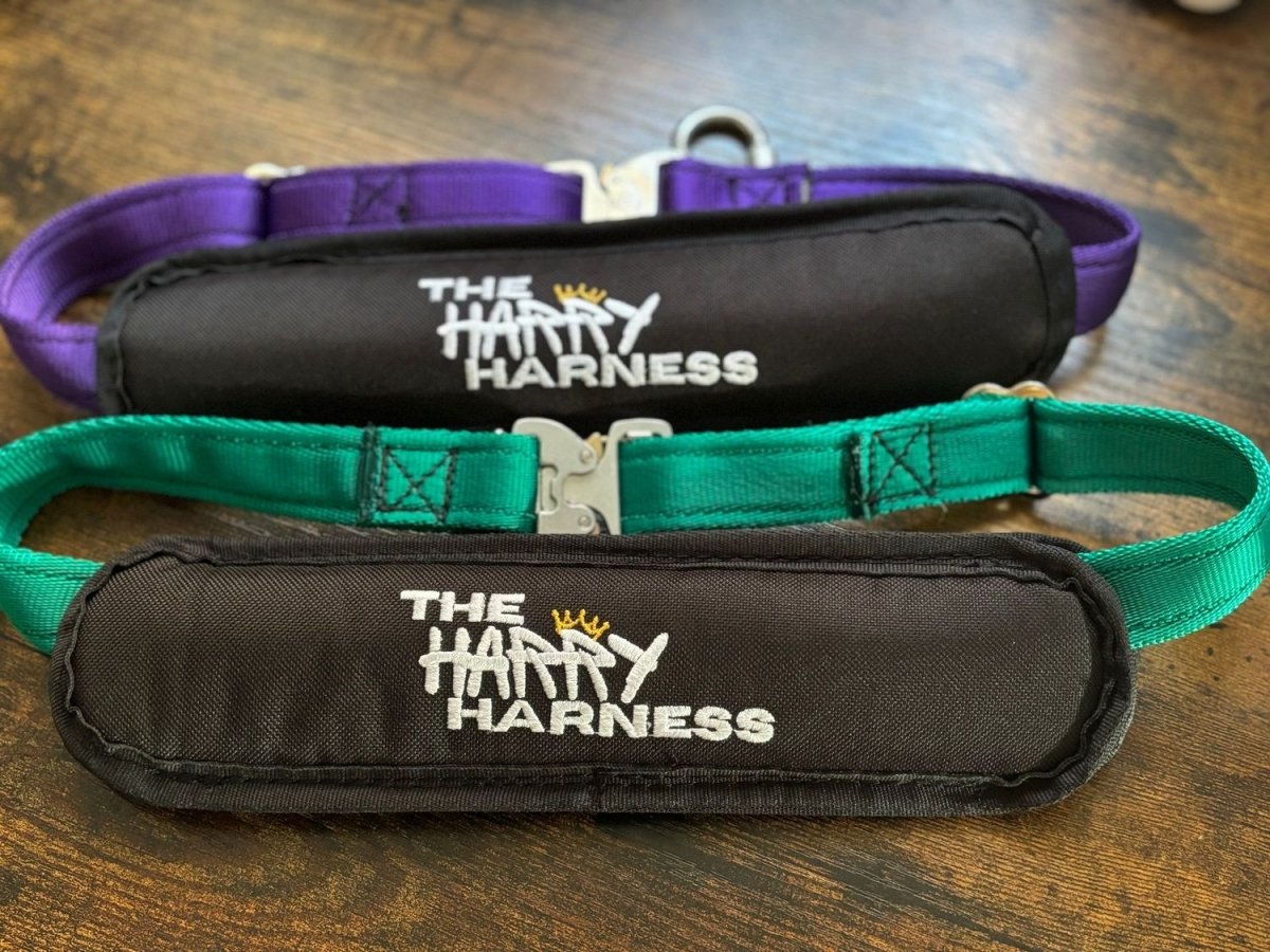 Harry Harness Complete Set – Autism & Special Needs Safety Harness - Out & About