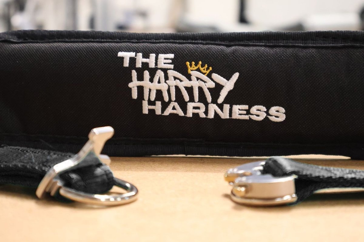 Harry Harness Complete Set – Autism & Special Needs Safety Harness - Out & About