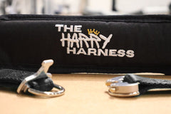 Harry Harness Complete Set – Autism & Special Needs Safety Harness - Out & About