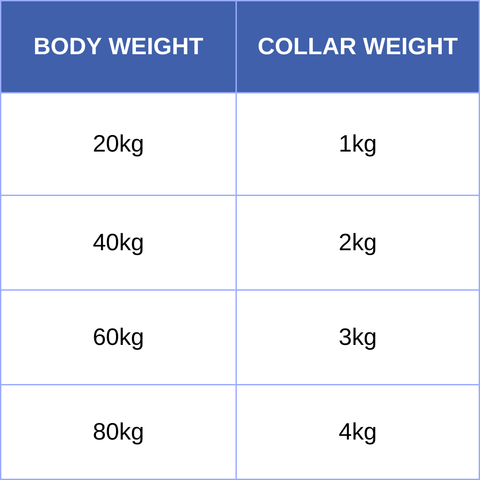 Long Minky Weighted Collar - Made to order - Weighted