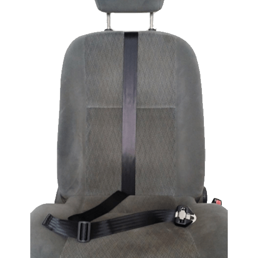 Model 22 Harness with Optional Fixing Strap - Out & About