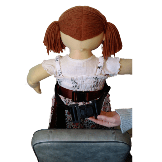 Model 3 Wheelchair Belt - Out & About