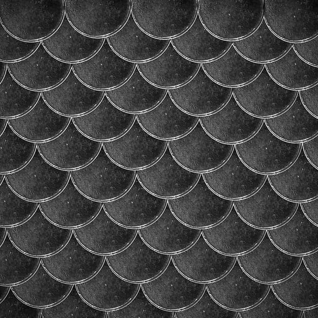 Orca swim trainer black colour