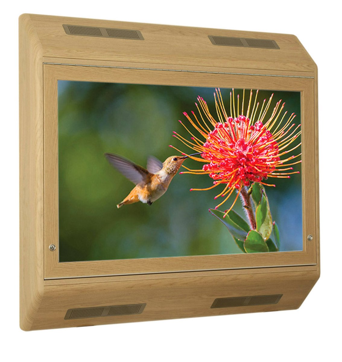 Secure Television Cabinet (Up to 43″ TV) - Sensory Equipment