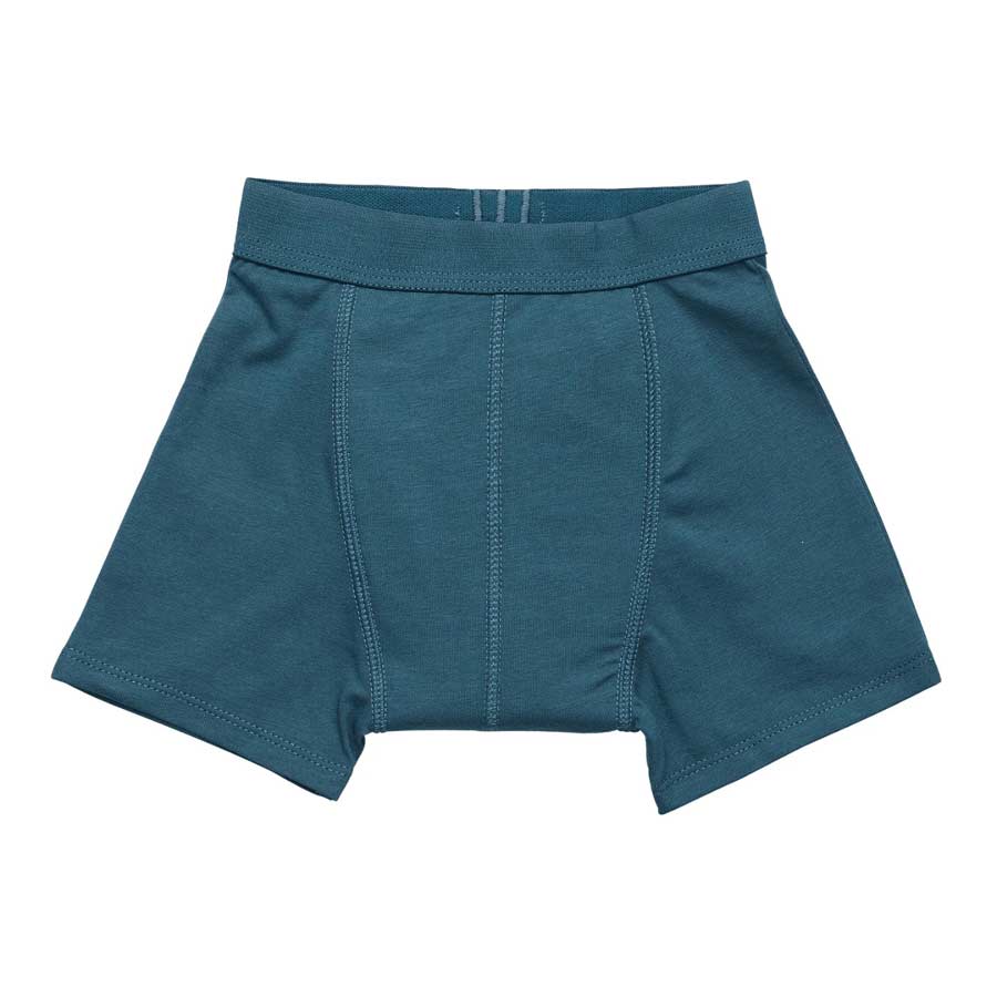 Snazzipants Night Training Pants - Bedtime, Toilet Training and Incontinence