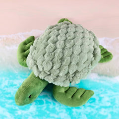 Weighted Turtle 1.6kg - Weighted