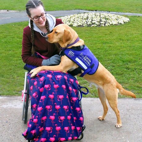 Adult fleece-lined wheelchair cosy - Buggies & Accessories