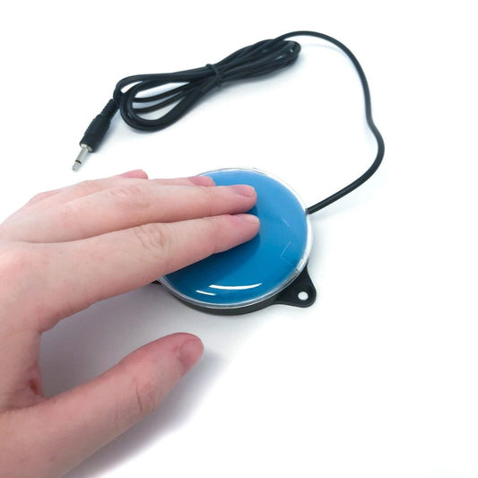 Switch with Mount & Perspex Cover - Learning Resource