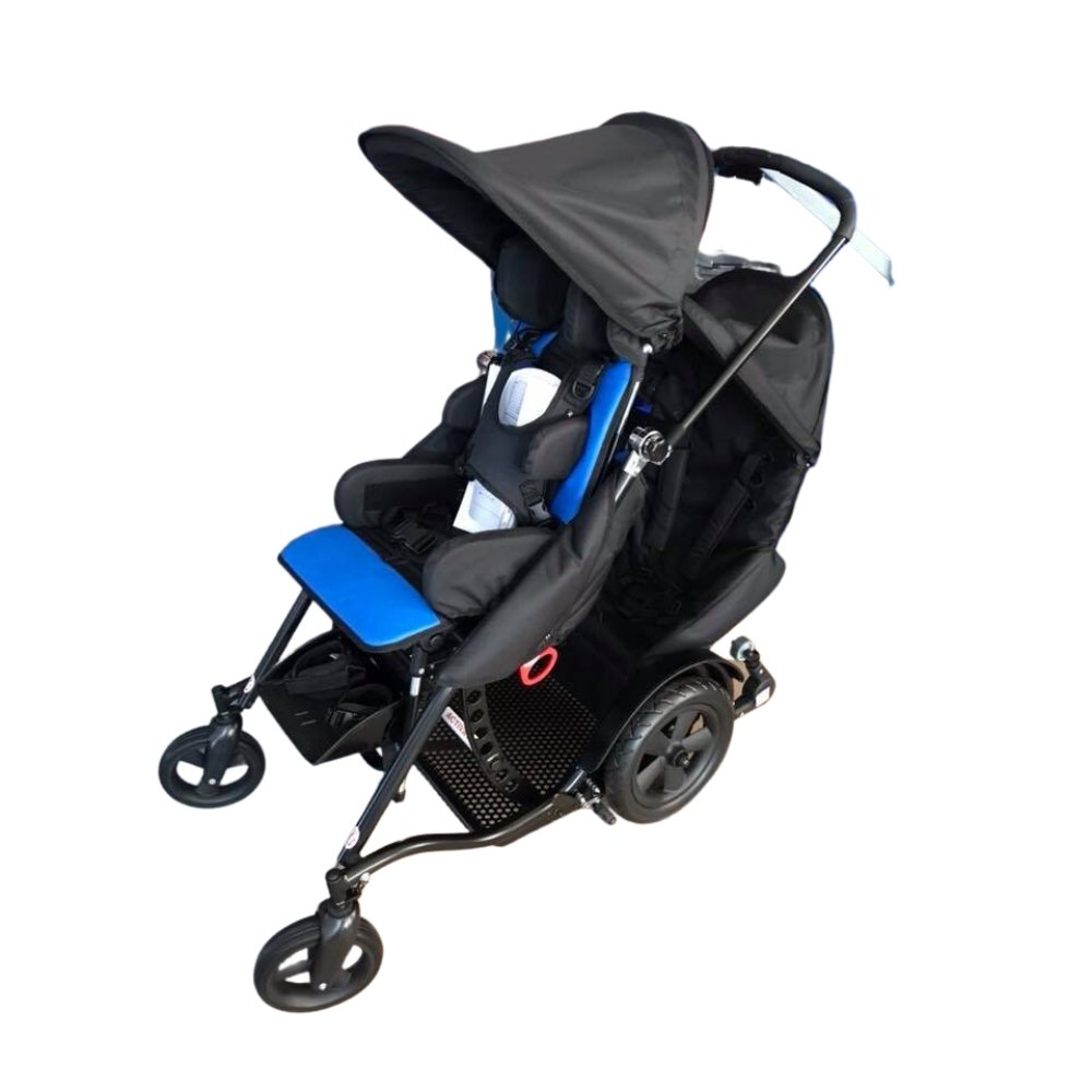 The Tandem Buggy Fledglings - Main Image