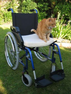 Wheelchair Cushion - Wheelchair Clothing